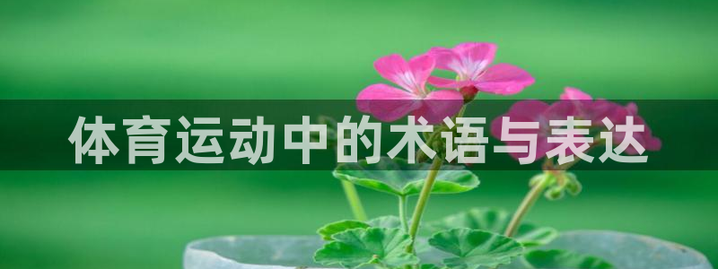 一竞技官网下载平台APP:体育运动中的术语与表达