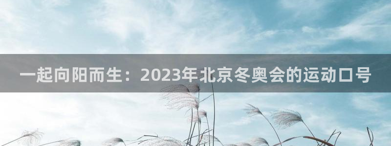 一竞技官方正版app代理:一起向阳而生:2023年北京冬奥会