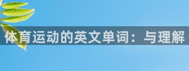 一竞技官网下载平台注册流程图:体育运动的英文单词:与理解