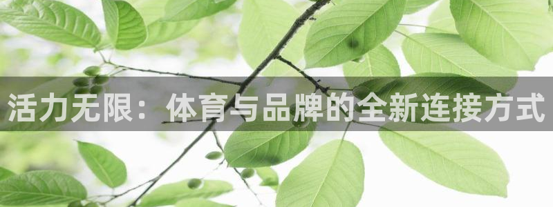 注册一竞技官方正版app:活力无限:体育与品牌的全新连接方式