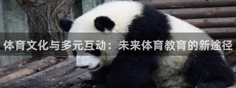 一竞技官网下载开户:体育文化与多元互动:未来体育教育的新途径