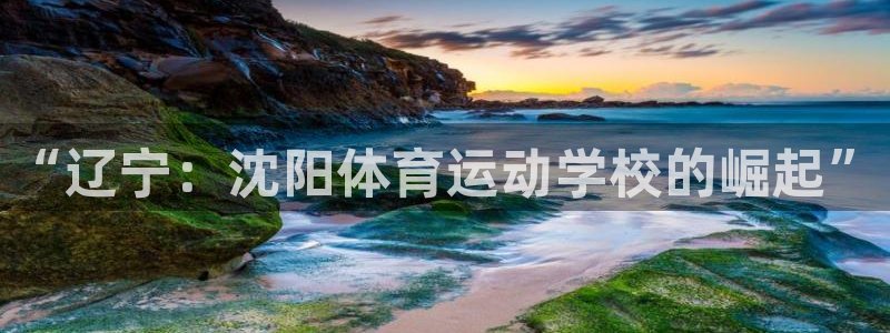 一竞技官方正版app代理:“辽宁:沈阳体育运动学校的崛起”