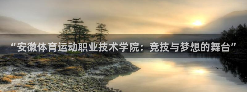 一竞技官方正版app娱乐是那个系列的台子:“安徽体育运动职业