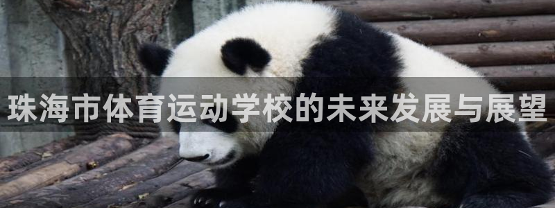 一竞技官网下载平台注册要钱吗:珠海市体育运动学校的未来发展与